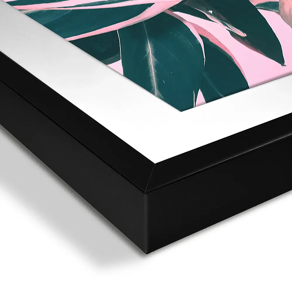 Pink Kalathea Framed Art Print Pink Kalathea Framed Art Print wall art product Emanuela Carratoni - Independent