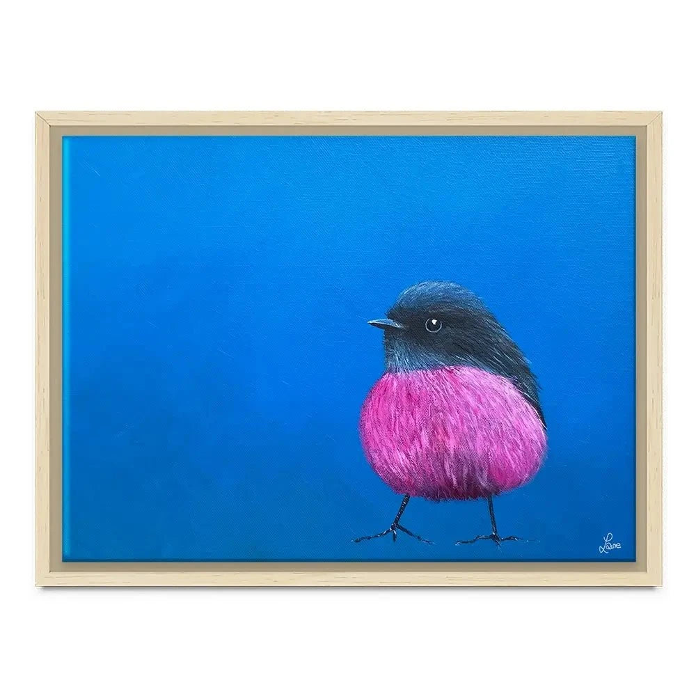 Pink Robin Canvas Print Pink Robin Canvas Print wall art product Laure Bury