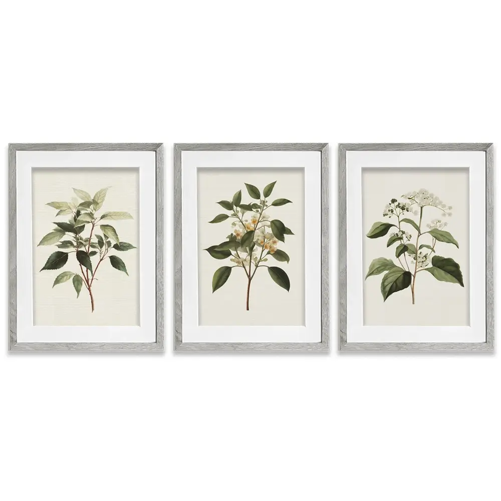 Plants Framed Art Print Trio Plants Framed Art Print Trio wall art product IAmHomeStudio