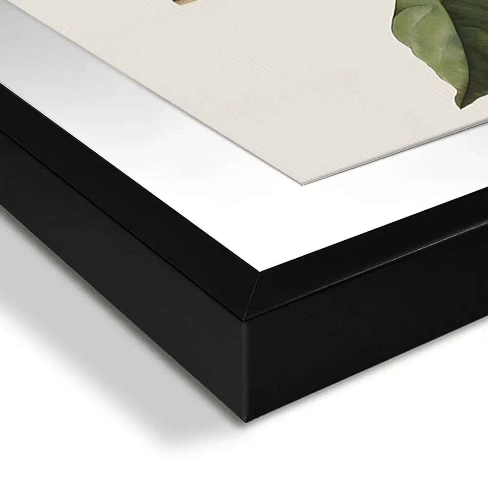 Plants Framed Art Print Trio Plants Framed Art Print Trio wall art product IAmHomeStudio