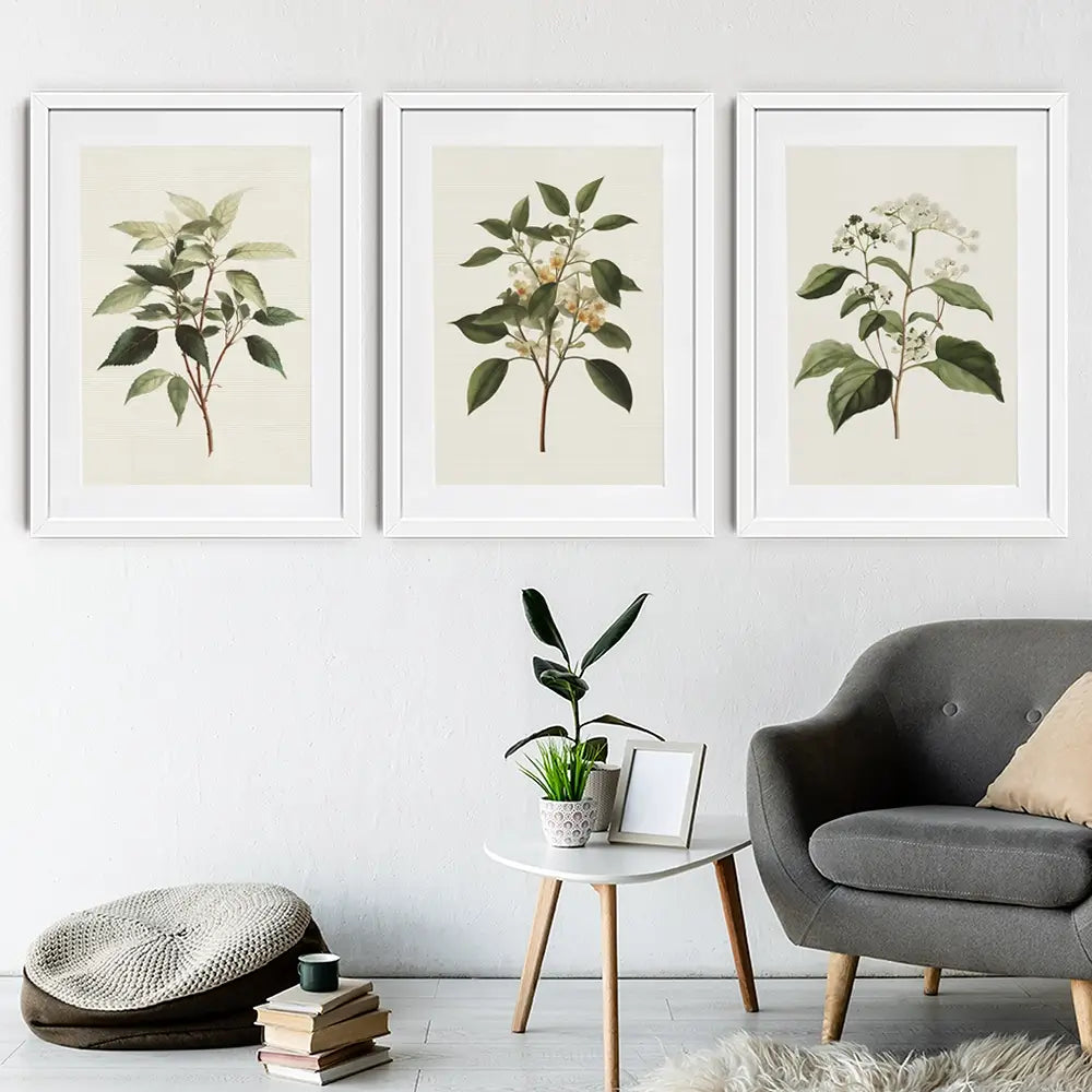Plants Framed Art Print Trio Plants Framed Art Print Trio wall art product IAmHomeStudio