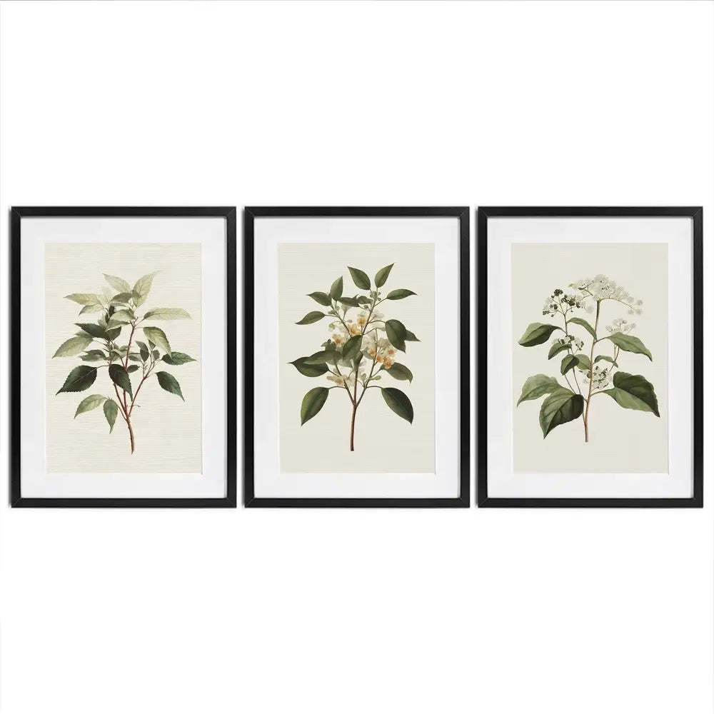 Plants Framed Art Print Trio Plants Framed Art Print Trio wall art product IAmHomeStudio
