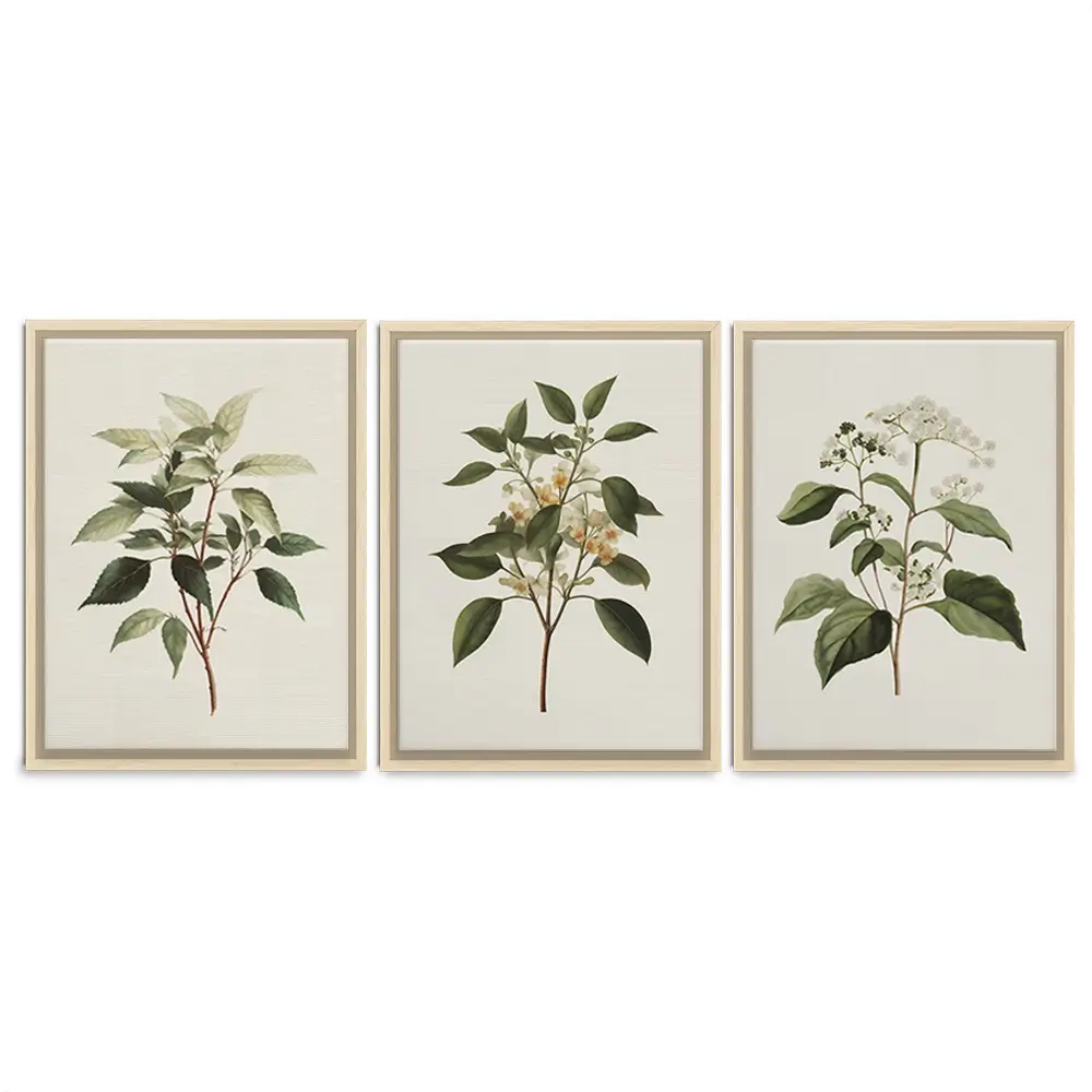 Plants Trio Canvas Print Plants Trio Canvas Print wall art product IAmHomeStudio