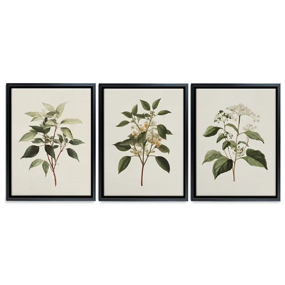 Plants Trio Canvas Print Plants Trio Canvas Print wall art product IAmHomeStudio