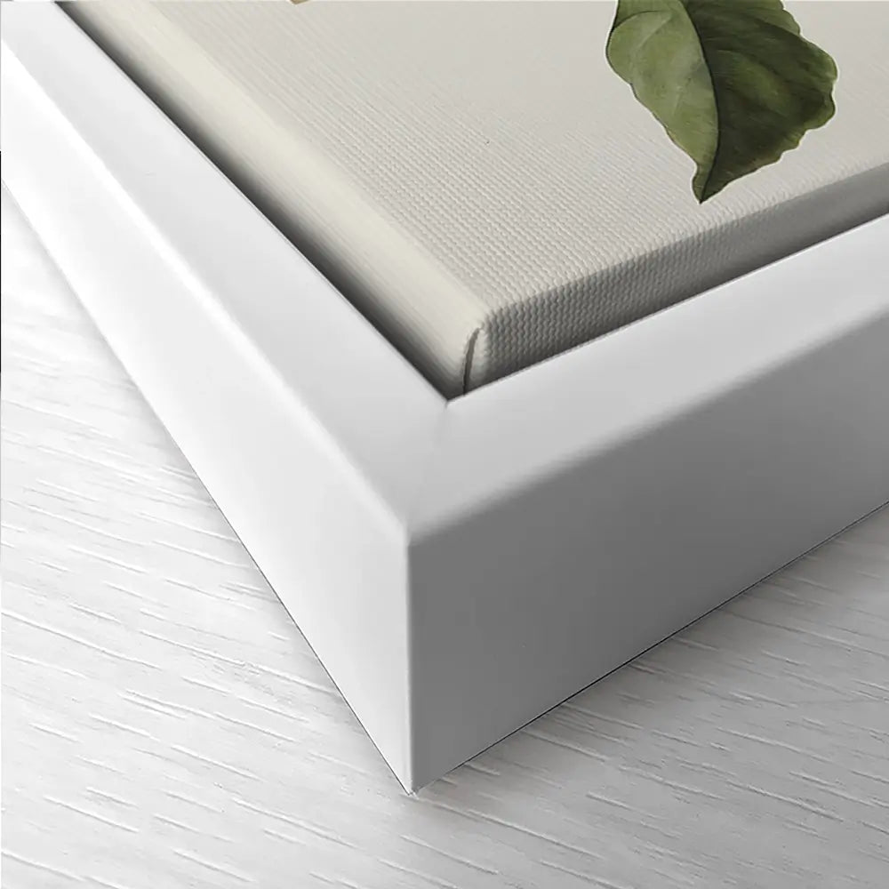Plants Trio Canvas Print Plants Trio Canvas Print wall art product IAmHomeStudio