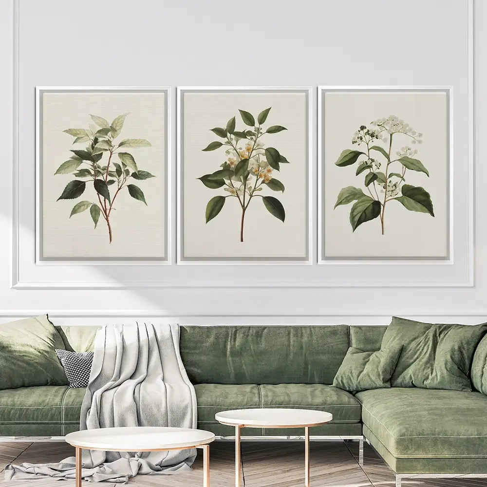 Plants Trio Canvas Print Plants Trio Canvas Print wall art product IAmHomeStudio