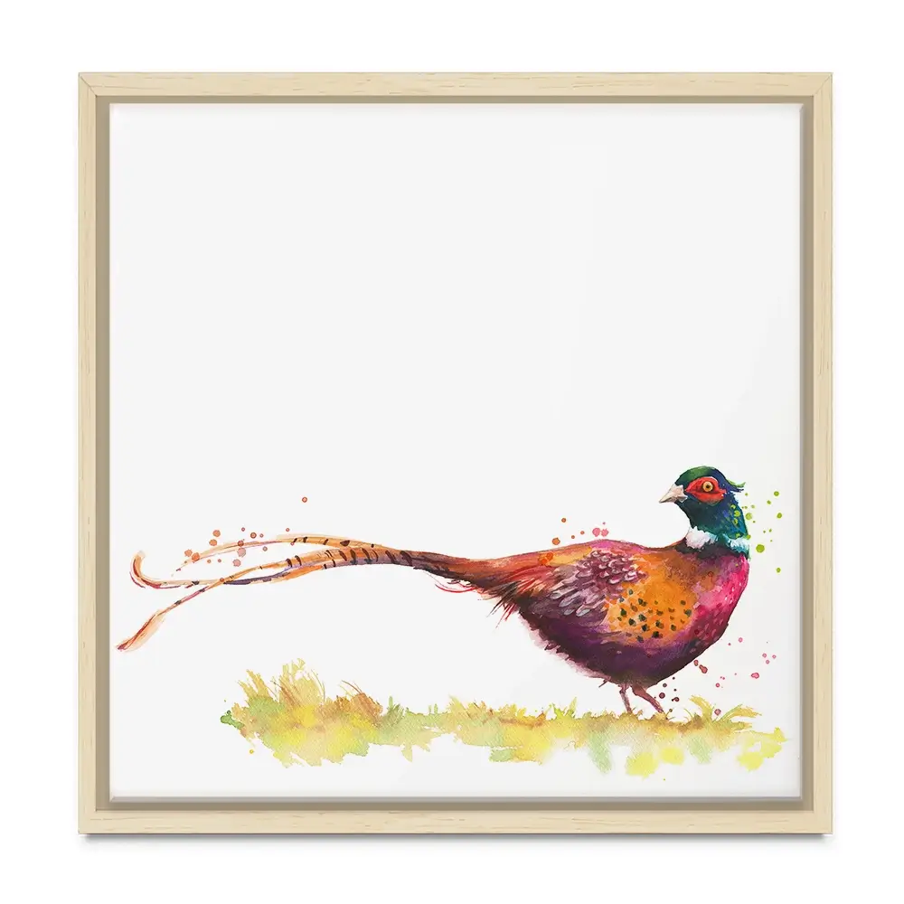 Pleasant Pheasant Square Canvas Print Pleasant Pheasant Square Canvas Print wall art product Kamieshkova / Shutterstock