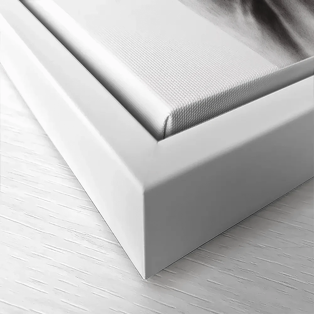 Ponderous Canvas Print Ponderous Canvas Print wall art product Ashvin Harrison