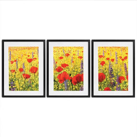 Poppies Oil Painting Framed Art Print Trio Poppies Oil Painting Framed Art Print Trio wall art product Kiril Stanchev / Shutterstock
