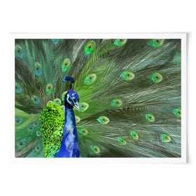 Powerful Peacock Art Print wall art product Aimee Linzi