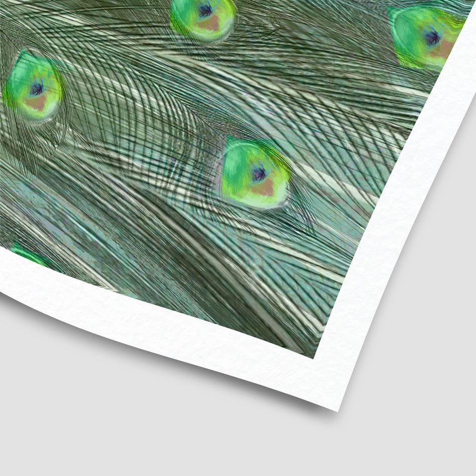 Powerful Peacock Art Print wall art product Aimee Linzi