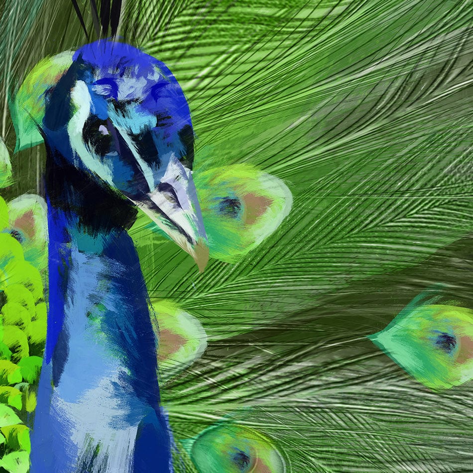 Powerful Peacock Canvas Print wall art product Aimee Linzi