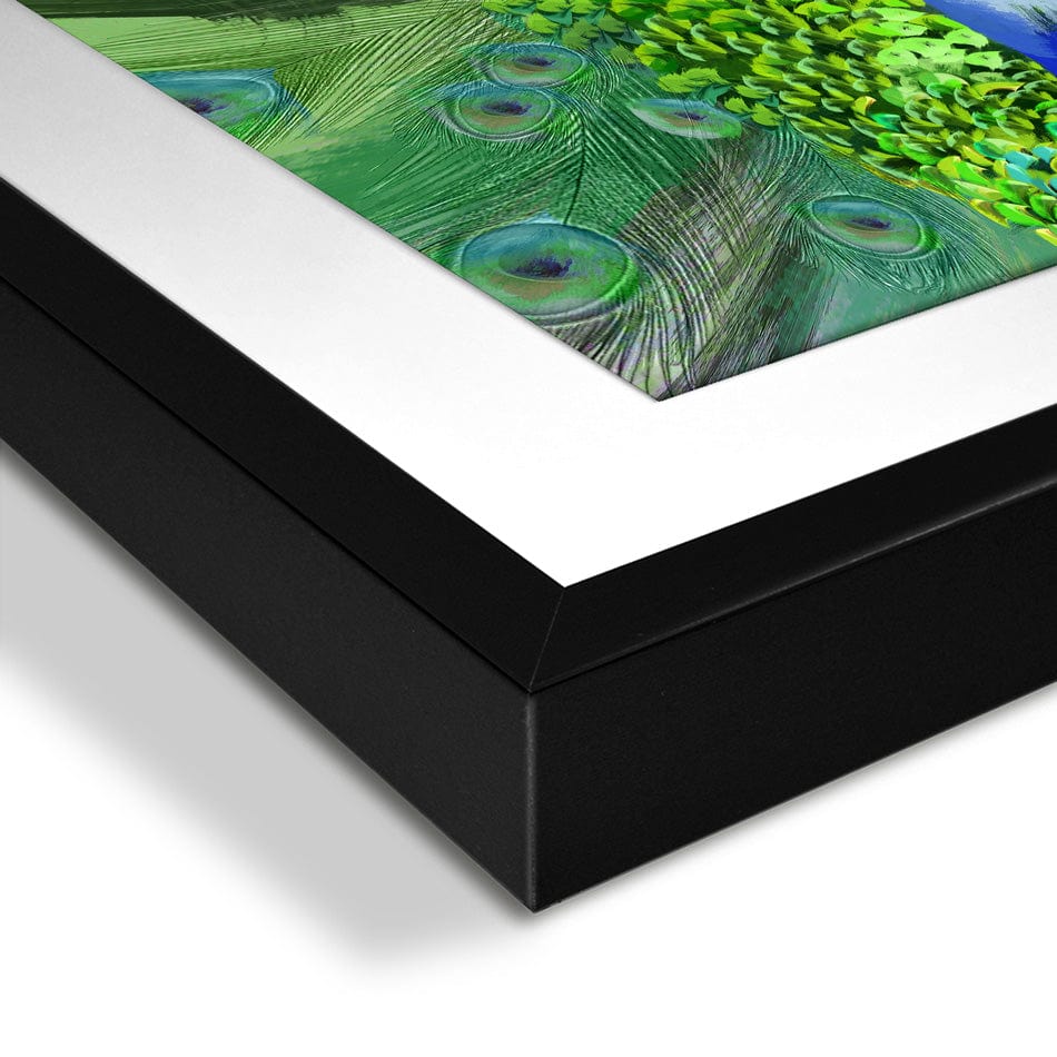 Powerful Peacock Framed Art Print wall art product Aimee Linzi