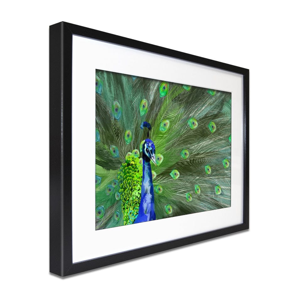 Powerful Peacock Framed Art Print wall art product Aimee Linzi