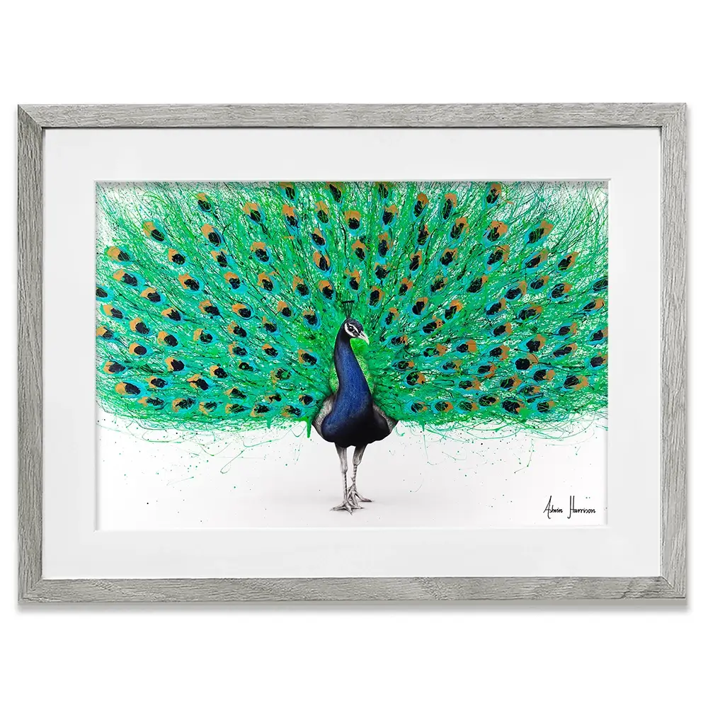 Proud Peacock Framed Art Print Proud Peacock Framed Art Print wall art product Ashvin Harrison