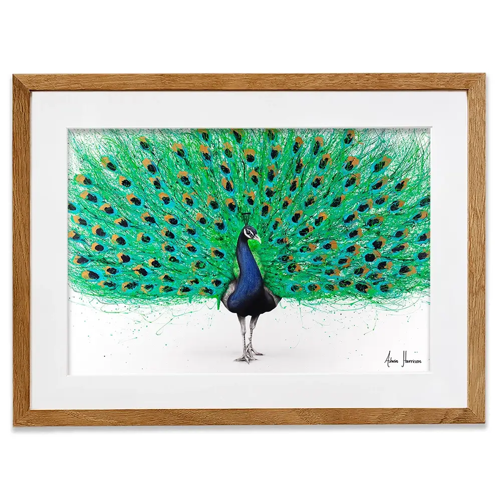 Proud Peacock Framed Art Print Proud Peacock Framed Art Print wall art product Ashvin Harrison