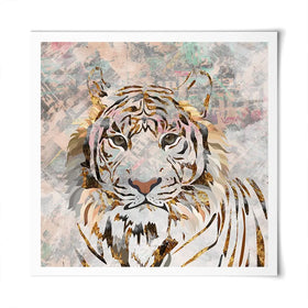 Proud Tiger Square Art Print Proud Tiger Square Art Print wall art product Sarah Manovksi