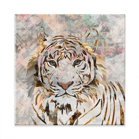 Proud Tiger Square Canvas Print Proud Tiger Square Canvas Print wall art product Sarah Manovksi