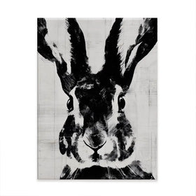 Rabbit Close Gaze Canvas Print Rabbit Close Gaze Canvas Print wall art product Chromatic Storm Studio