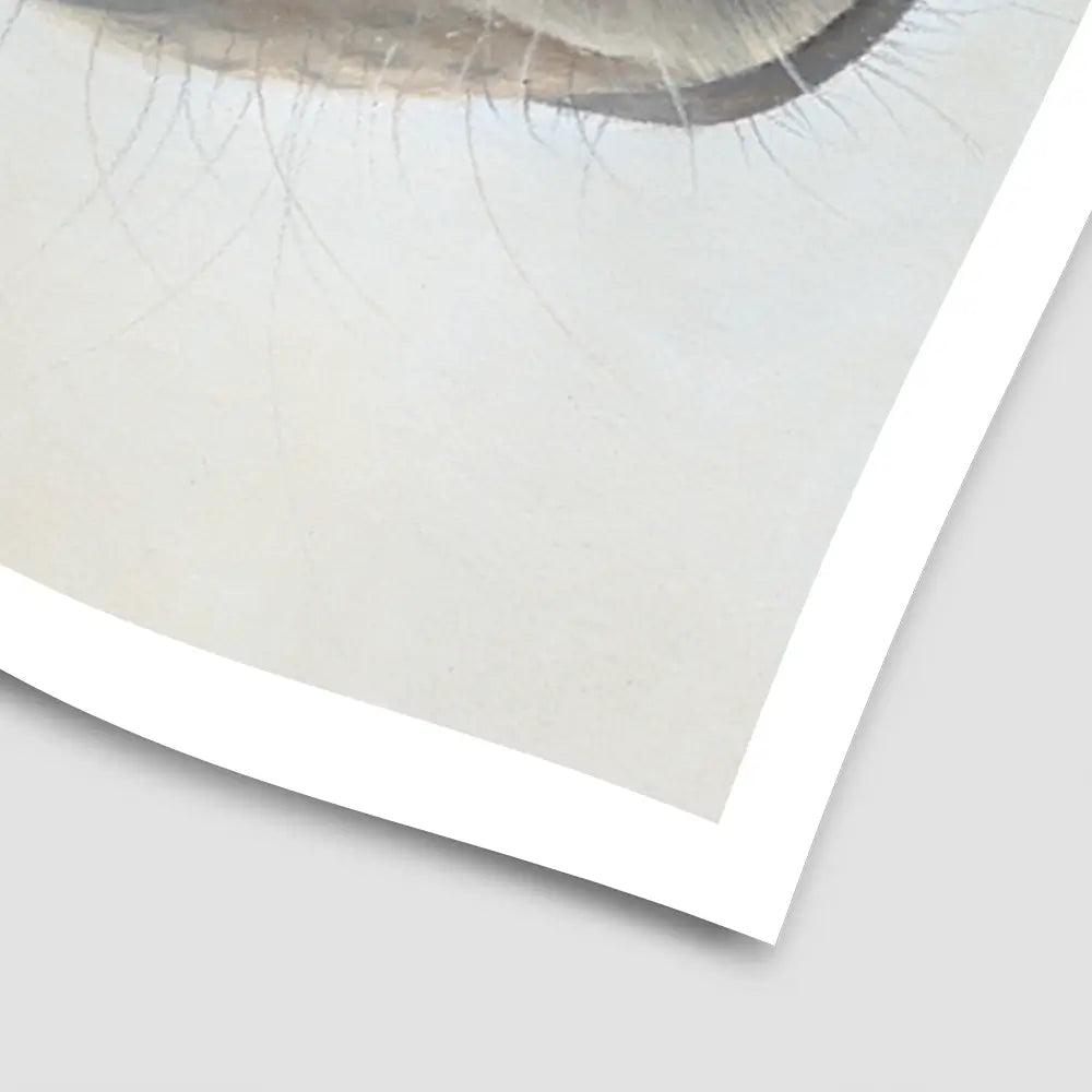 Racehorse Faugheen Art Print Racehorse Faugheen Art Print wall art product Georgie Turner