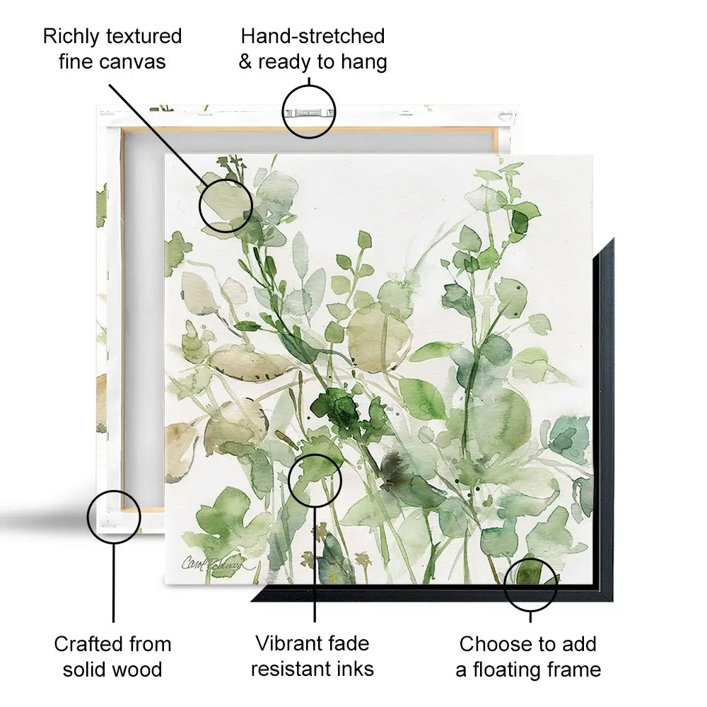 Sage Garden 2 Square Canvas Print Sage Garden 2 Square Canvas Print wall art product Carol Robinson