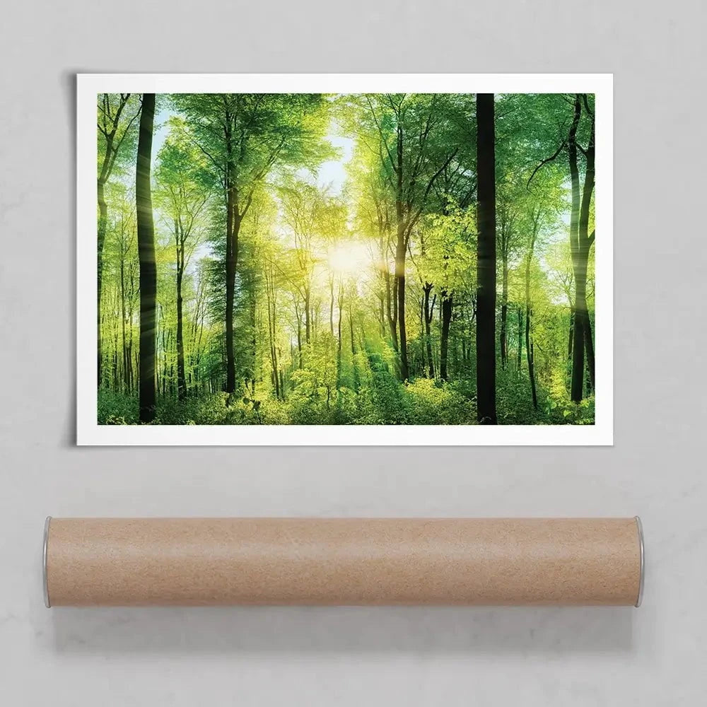 Scenic Forest Art Print Scenic Forest Art Print wall art product Smileus / Shutterstock