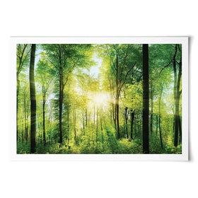 Scenic Forest Art Print Scenic Forest Art Print wall art product Smileus / Shutterstock
