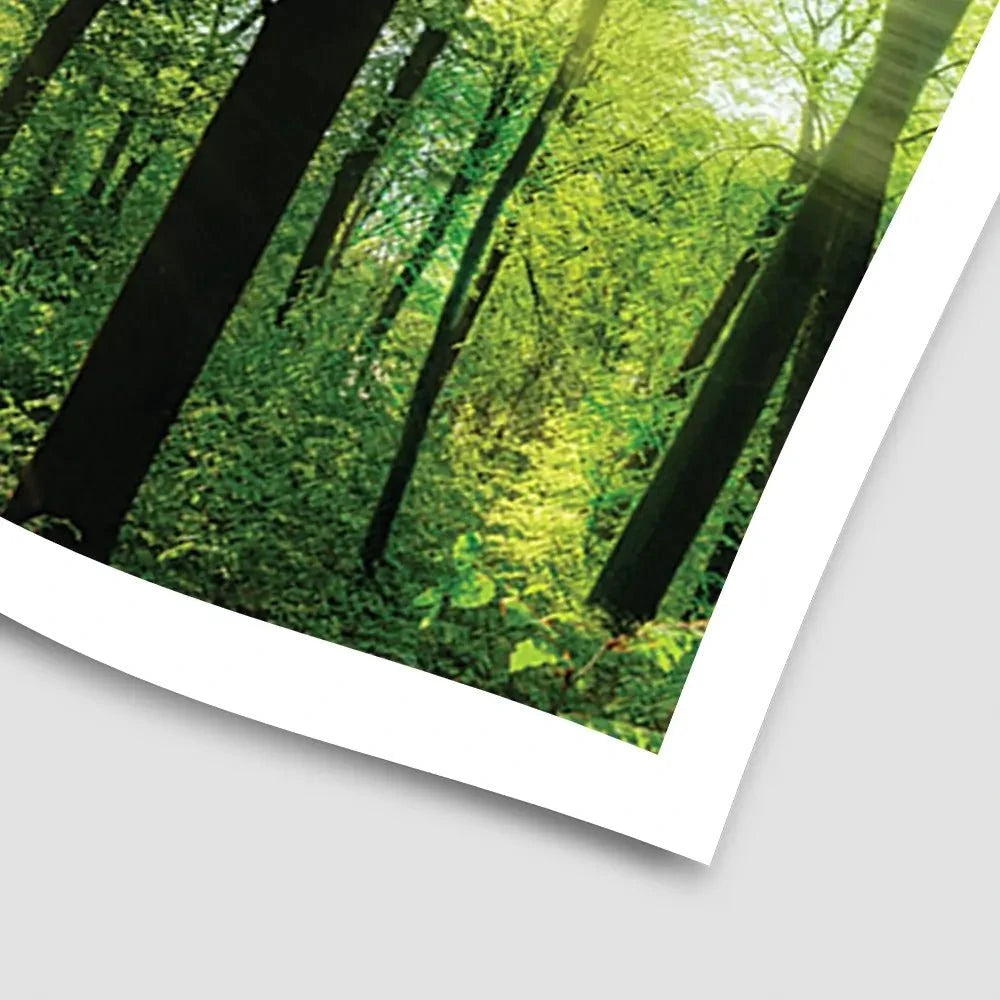 Scenic Forest Art Print Scenic Forest Art Print wall art product Smileus / Shutterstock