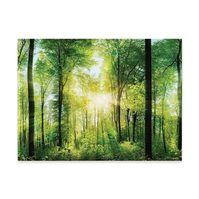 Scenic Forest Canvas Print Scenic Forest Canvas Print wall art product Smileus / Shutterstock