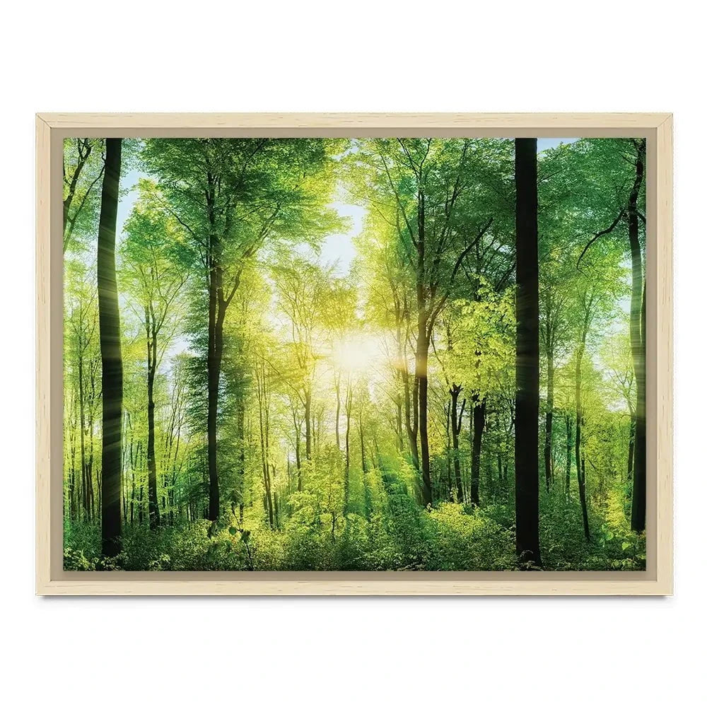 Scenic Forest Canvas Print Scenic Forest Canvas Print wall art product Smileus / Shutterstock