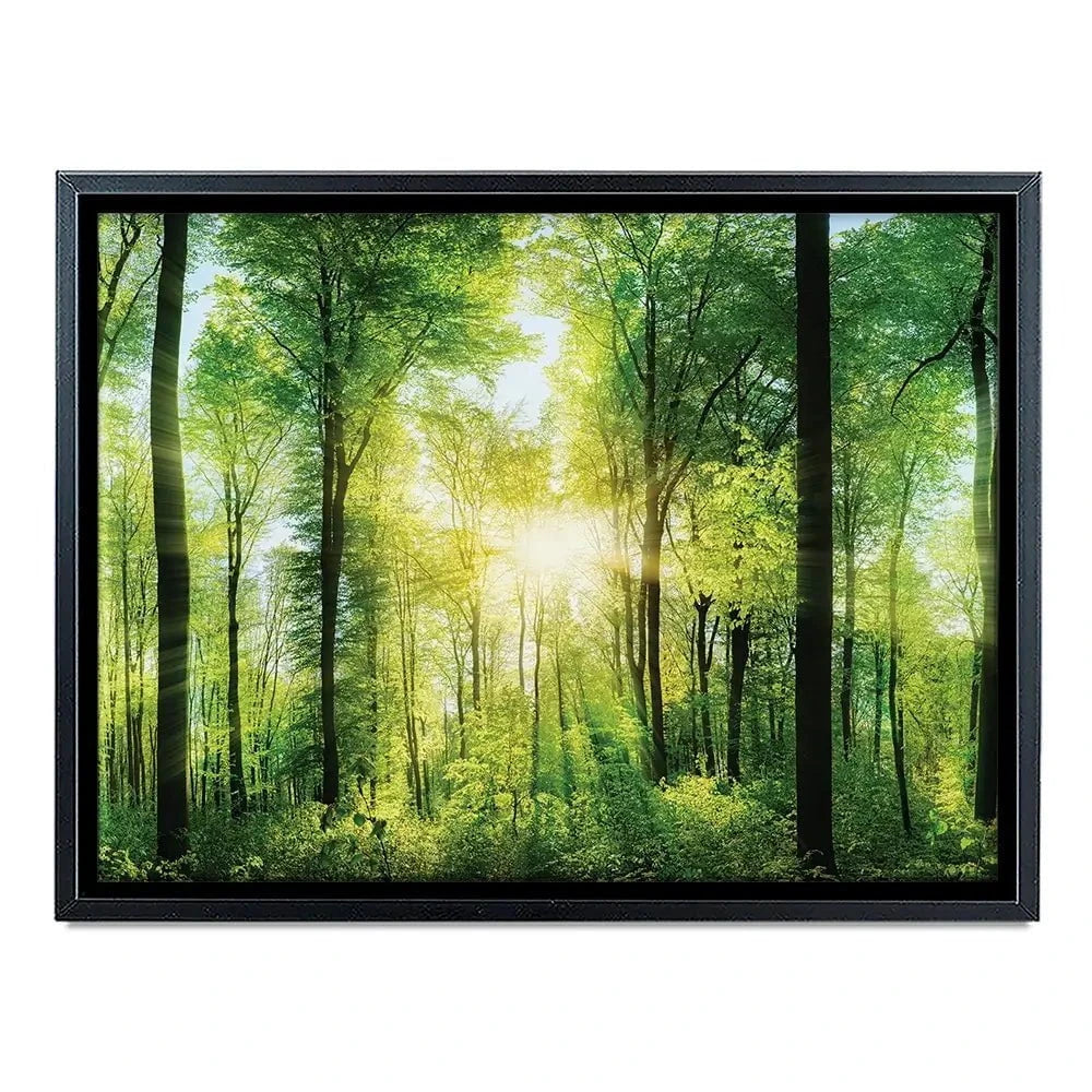 Scenic Forest Canvas Print Scenic Forest Canvas Print wall art product Smileus / Shutterstock