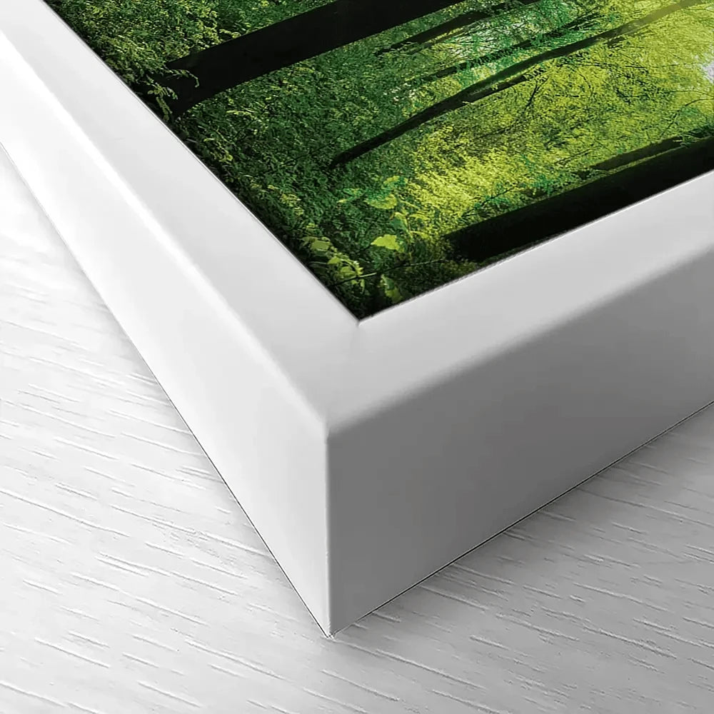 Scenic Forest Canvas Print Scenic Forest Canvas Print wall art product Smileus / Shutterstock