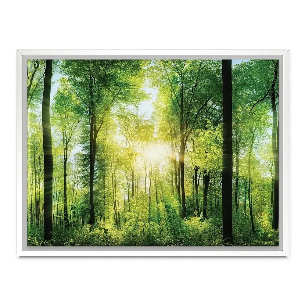 Scenic Forest Canvas Print Scenic Forest Canvas Print wall art product Smileus / Shutterstock