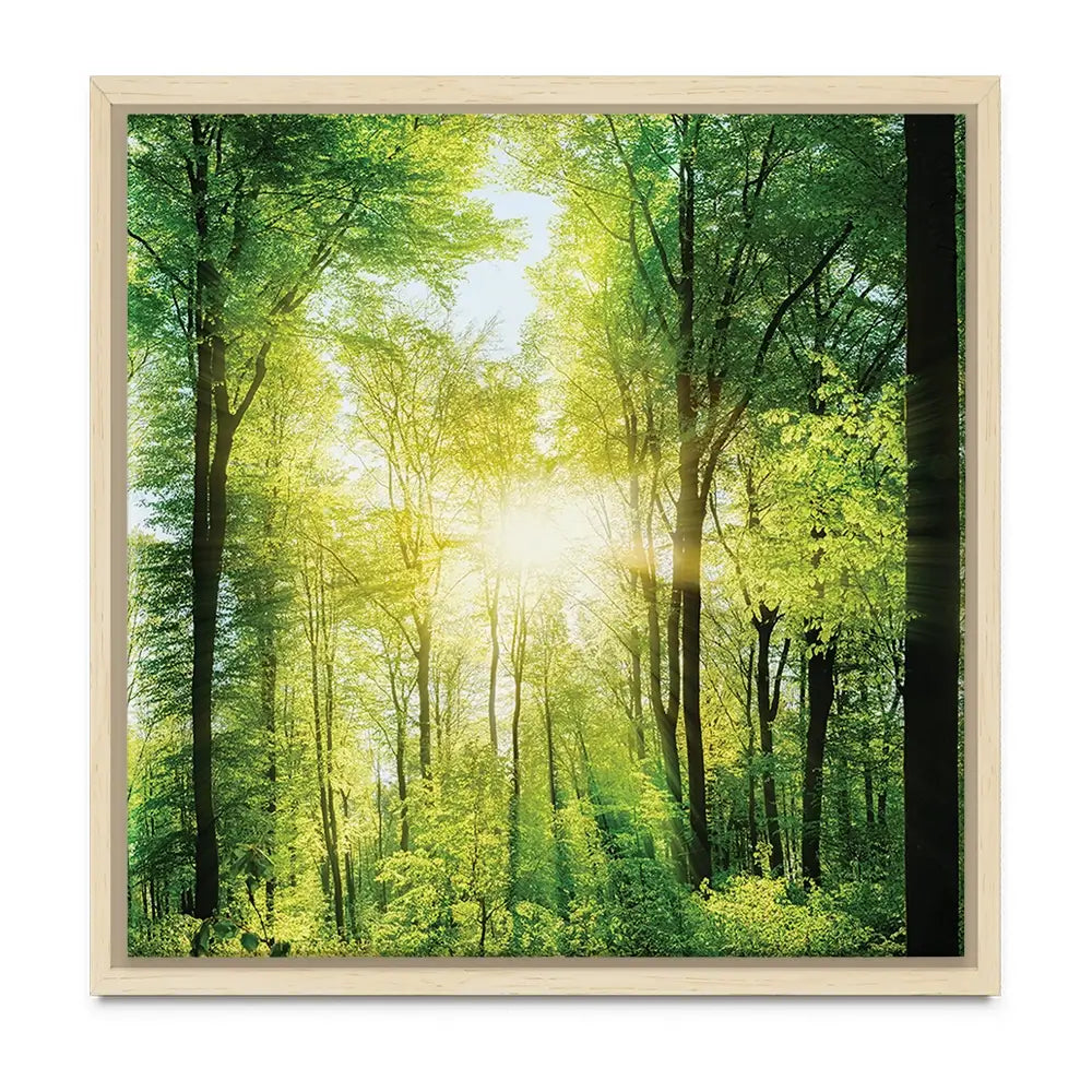 Scenic Forest Oversized Canvas Print Scenic Forest Oversized Canvas Print wall art product Art Print Shop