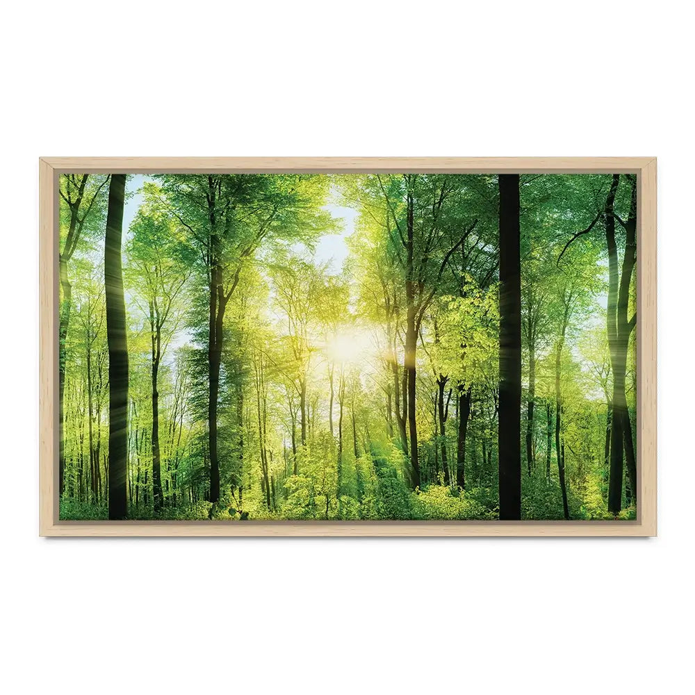 Scenic Forest Oversized Canvas Print Scenic Forest Oversized Canvas Print wall art product Art Print Shop