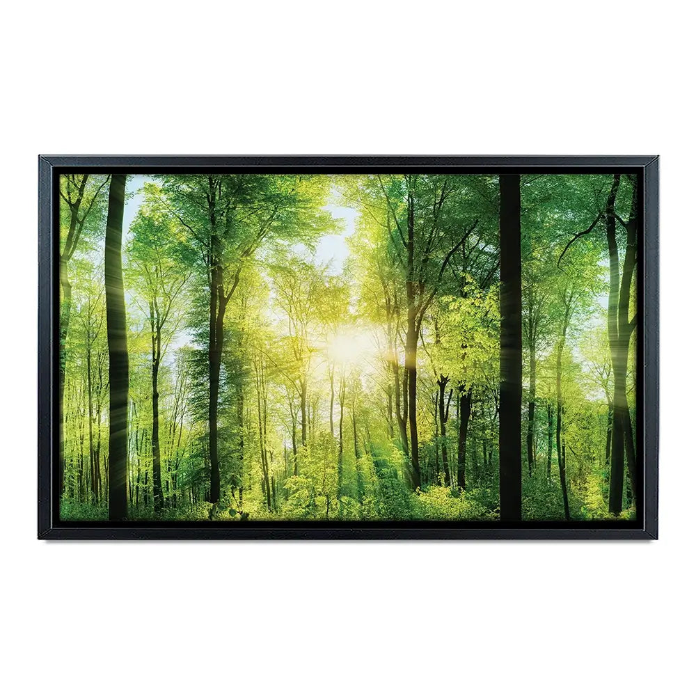 Scenic Forest Oversized Canvas Print Scenic Forest Oversized Canvas Print wall art product Art Print Shop