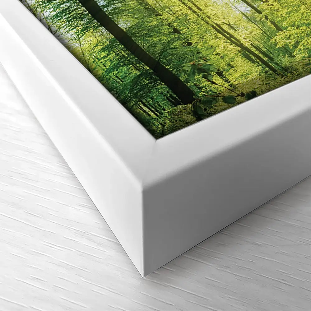 Scenic Forest Oversized Canvas Print Scenic Forest Oversized Canvas Print wall art product Art Print Shop