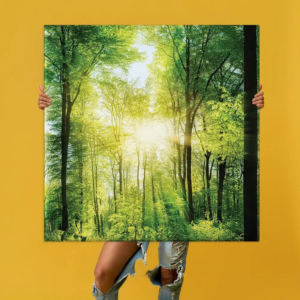 Scenic Forest Oversized Canvas Print Scenic Forest Oversized Canvas Print wall art product Art Print Shop