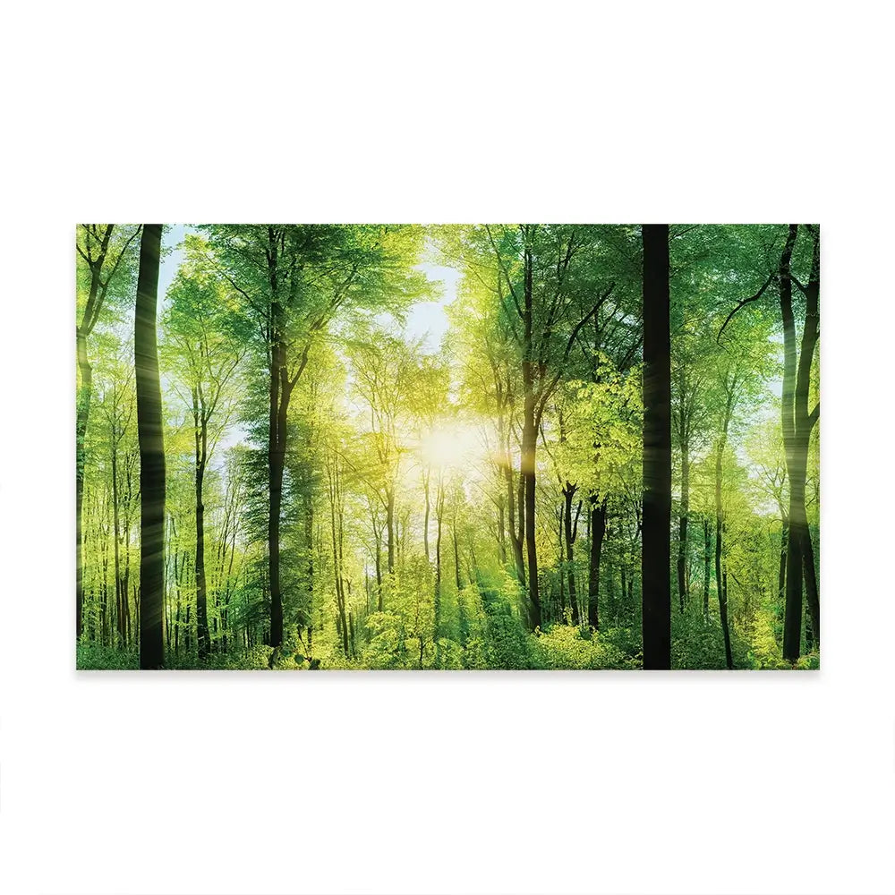 Scenic Forest Oversized Canvas Print Scenic Forest Oversized Canvas Print wall art product Art Print Shop