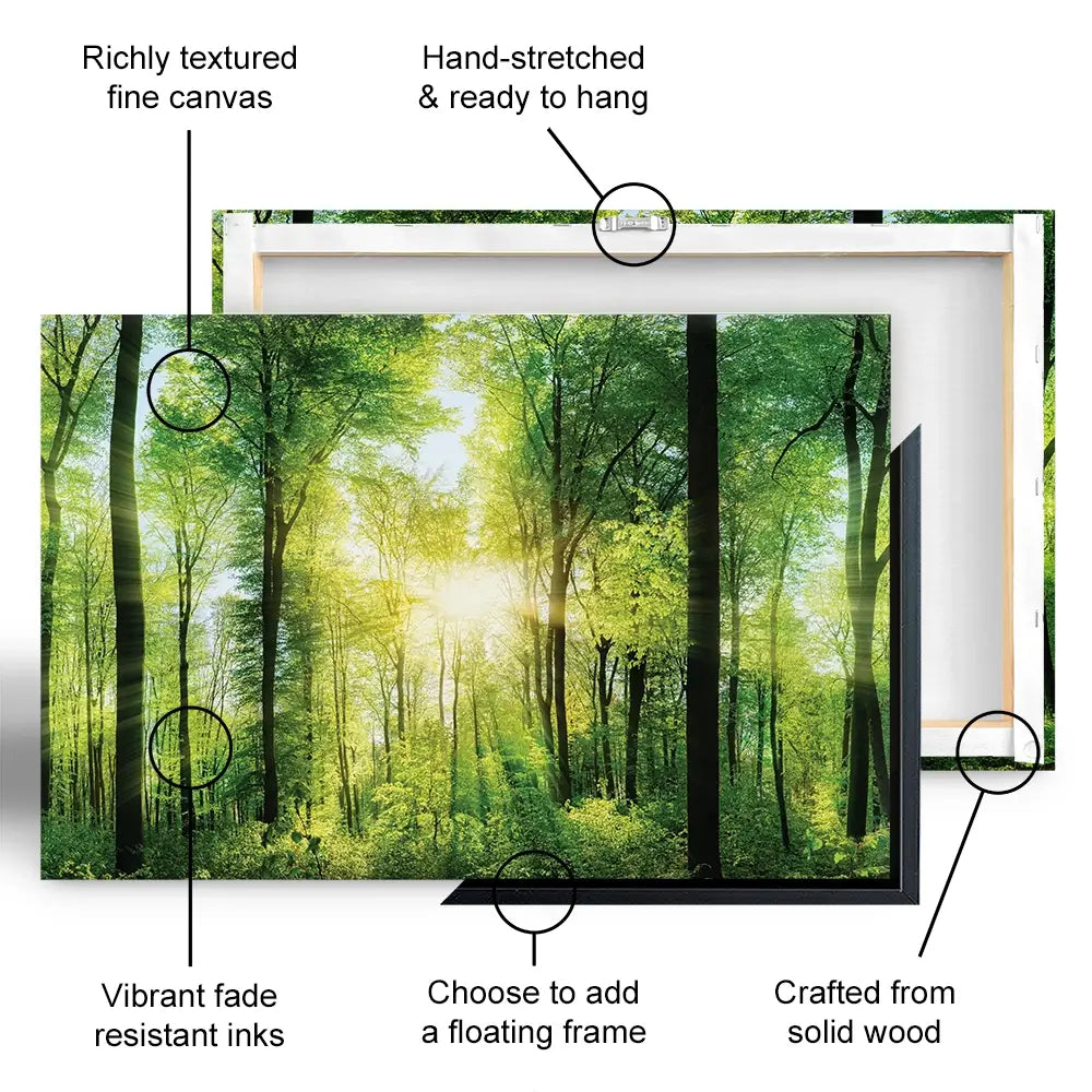 Scenic Forest Oversized Canvas Print Scenic Forest Oversized Canvas Print wall art product Smileus / Shutterstock