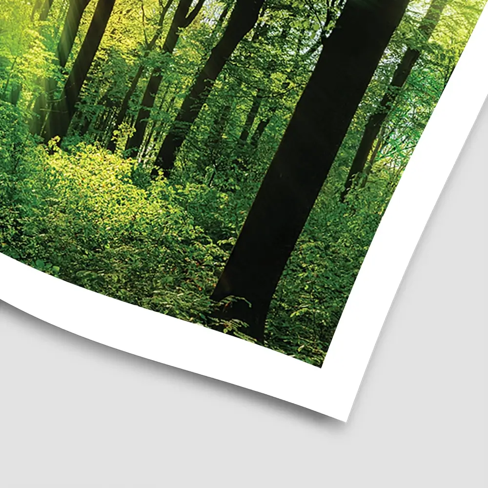 Scenic Forest Square Art Print Scenic Forest Square Art Print wall art product Smileus / Shutterstock