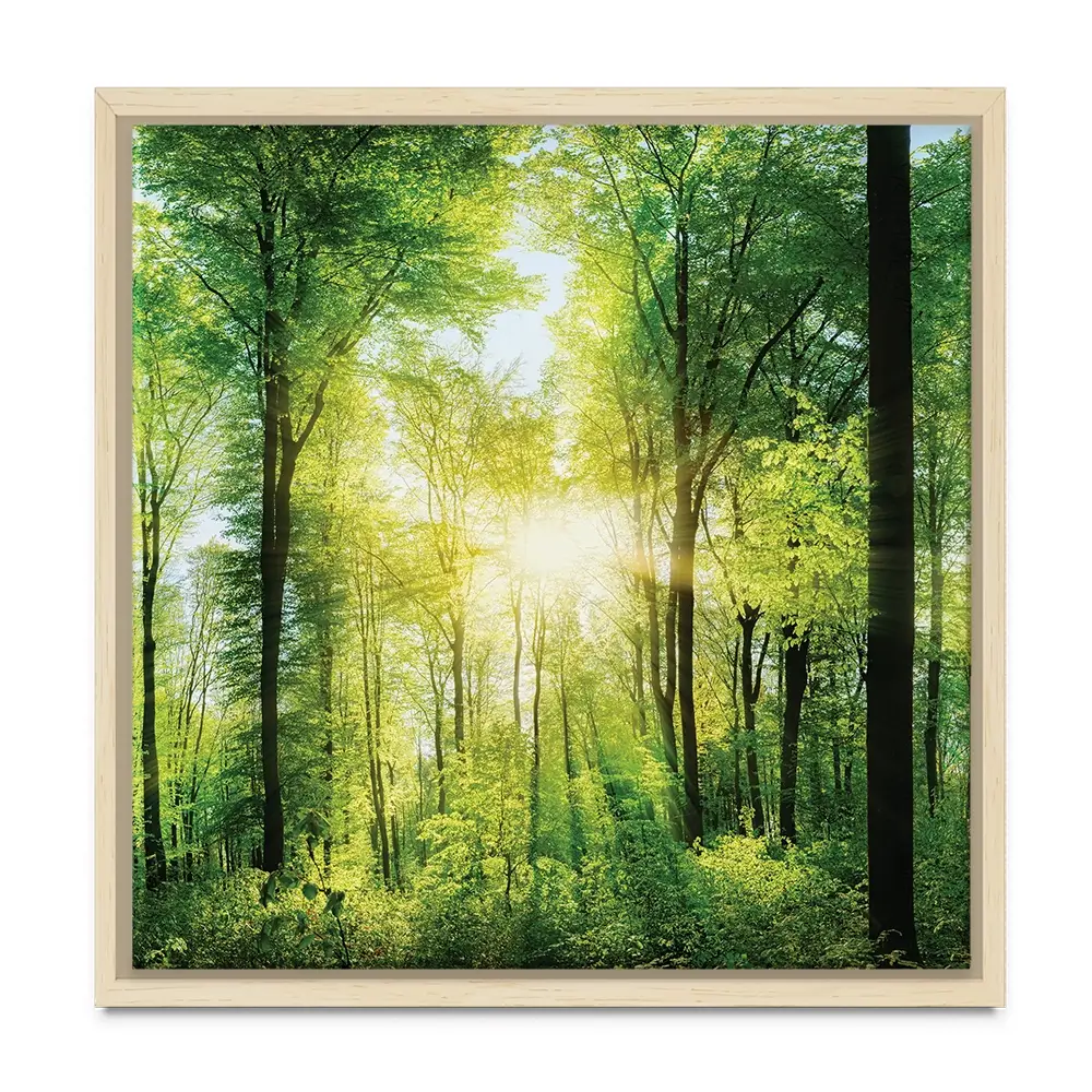 Scenic Forest Square Canvas Print Scenic Forest Square Canvas Print wall art product Smileus / Shutterstock