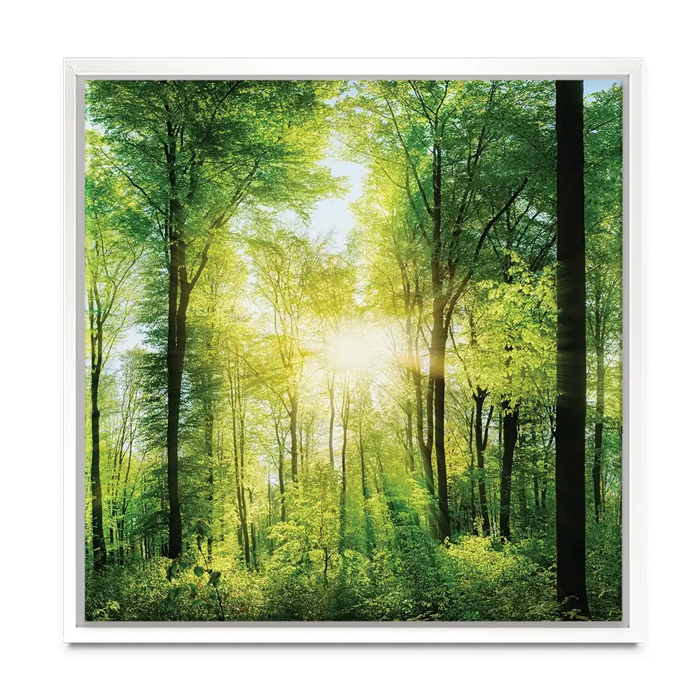 Scenic Forest Square Canvas Print Scenic Forest Square Canvas Print wall art product Smileus / Shutterstock