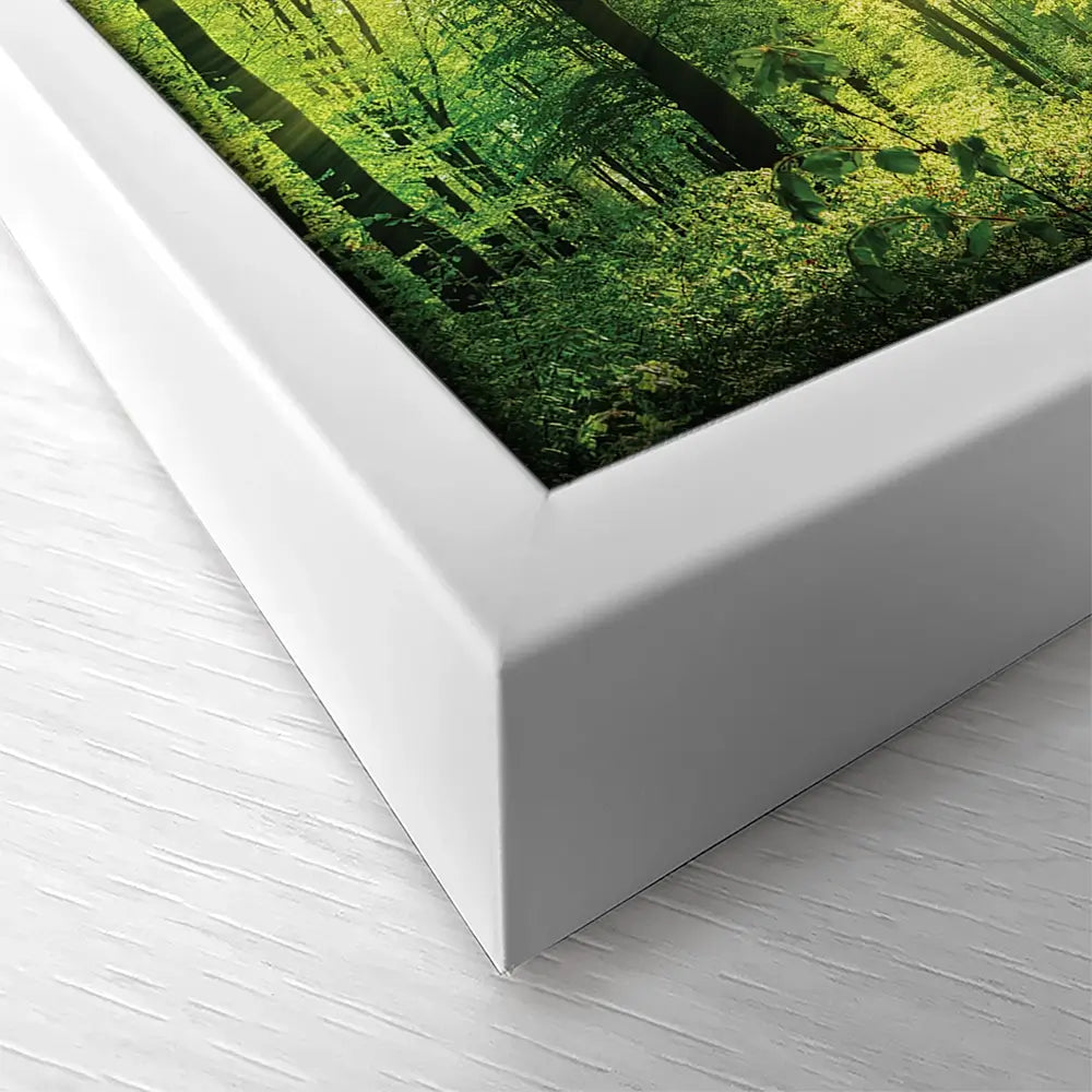 Scenic Forest Square Canvas Print Scenic Forest Square Canvas Print wall art product Smileus / Shutterstock