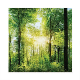Scenic Forest Square Canvas Print Scenic Forest Square Canvas Print wall art product Smileus / Shutterstock