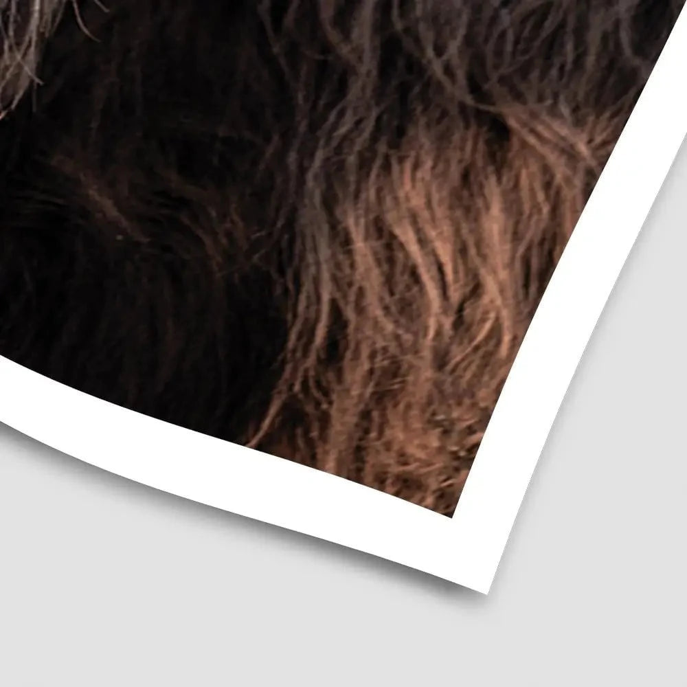 Scottish Brown Highland Cattle Art Print Scottish Brown Highland Cattle Art Print wall art product Sandro Fabris / Shutterstock