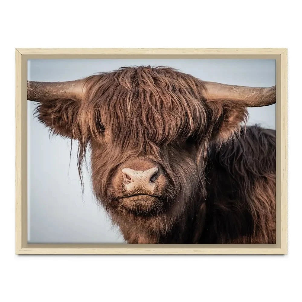 Scottish Brown Highland Cattle Canvas Print Scottish Brown Highland Cattle Canvas Print wall art product Sandro Fabris / Shutterstock