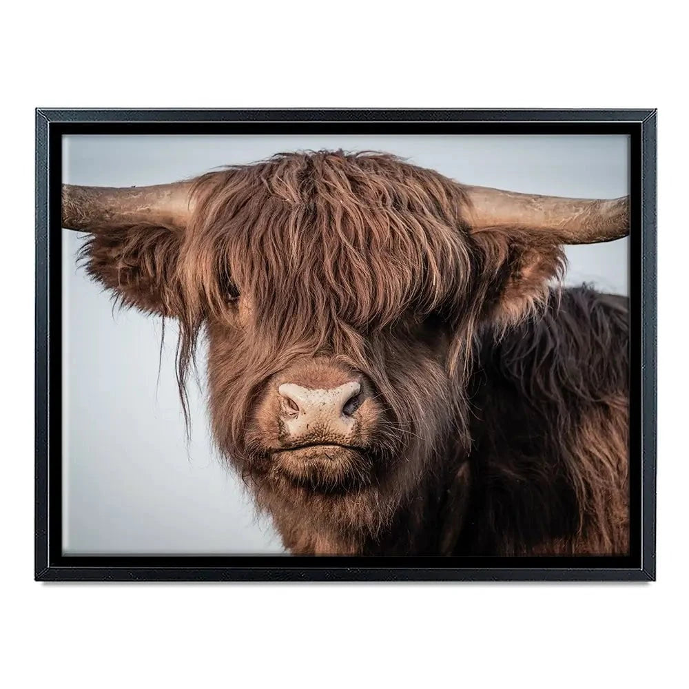 Scottish Brown Highland Cattle Canvas Print Scottish Brown Highland Cattle Canvas Print wall art product Sandro Fabris / Shutterstock