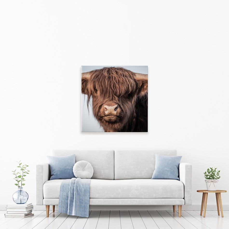 Scottish Brown Highland Cattle Square Canvas Print wall art product Sandro Fabris / Shutterstock