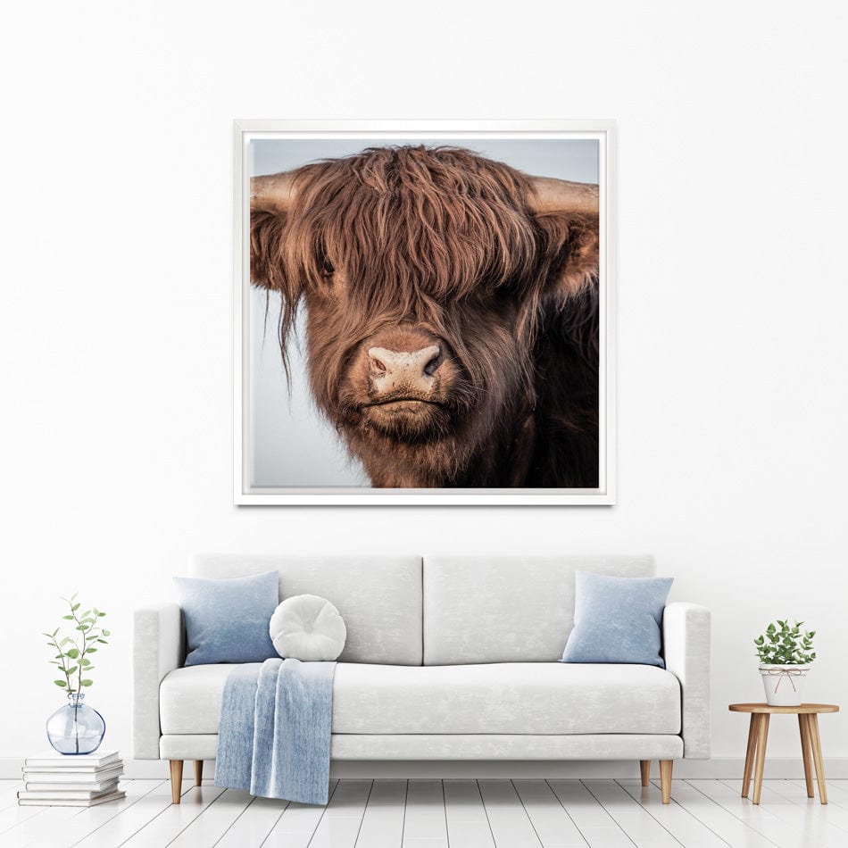 Scottish Brown Highland Cattle Square Canvas Print wall art product Sandro Fabris / Shutterstock